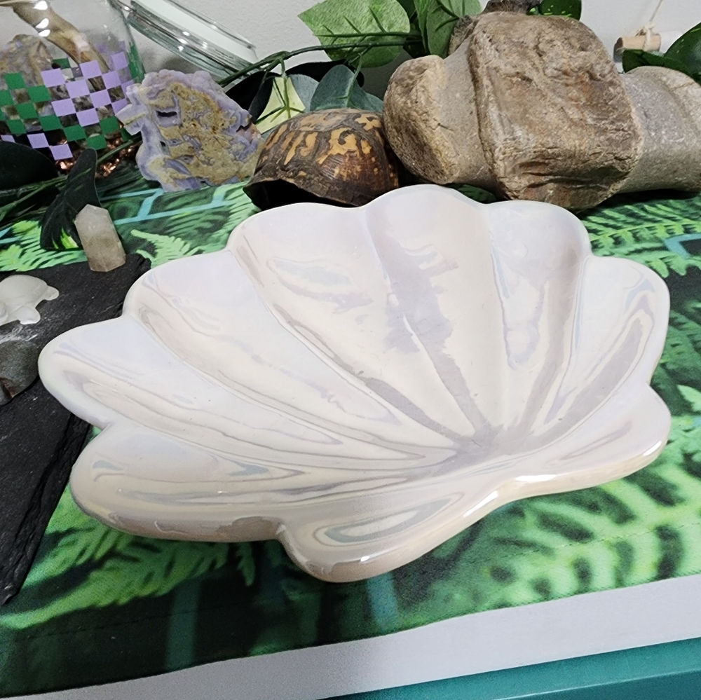 iridescent shell cookie plate